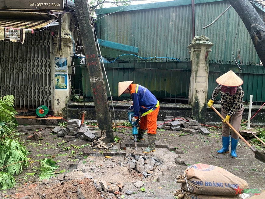 View - 	Hà Nội tập trung dọn dẹp cây xanh ngã đổ, khai thông tuyến phố